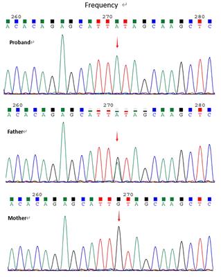 Frontiers Case Report A Case Of Novel Homozygous LRBA Variant Induced By Chromosomal